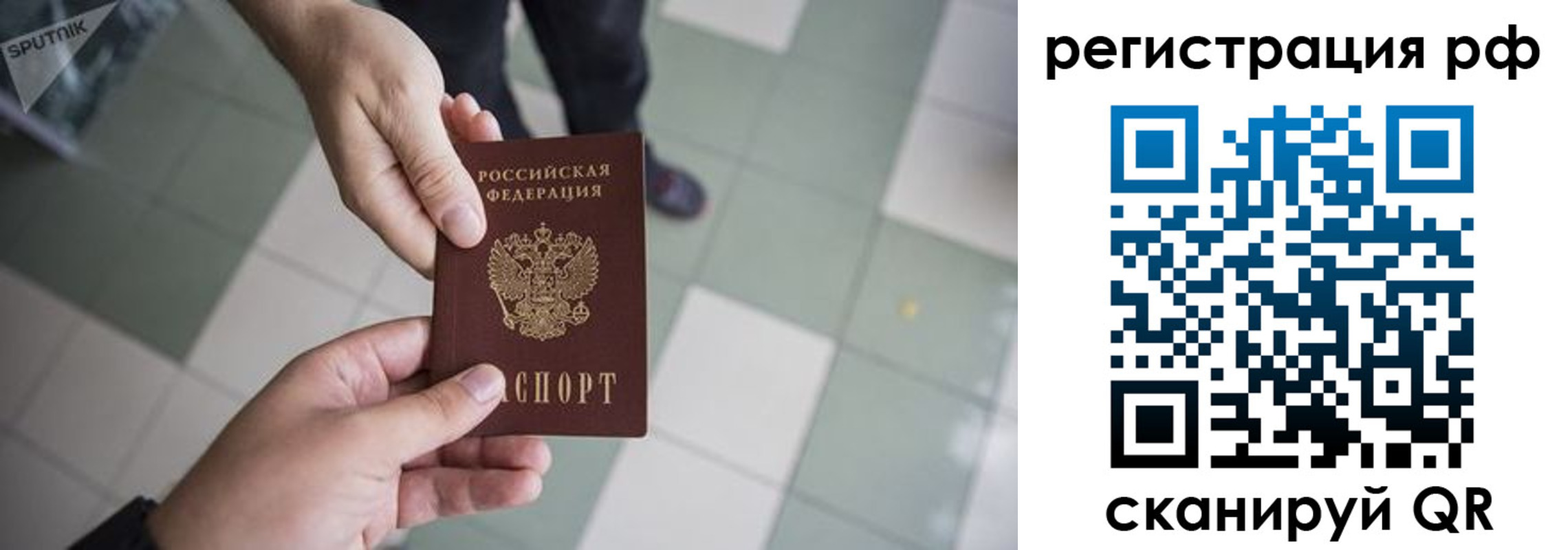 прописка гарантия в Солнечногорске